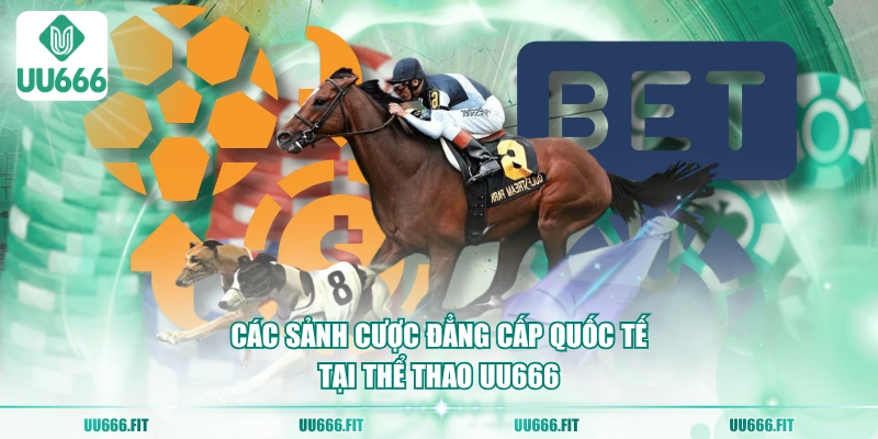 Các sảnh cược đẳng cấp quốc tế tại thể thao UU666