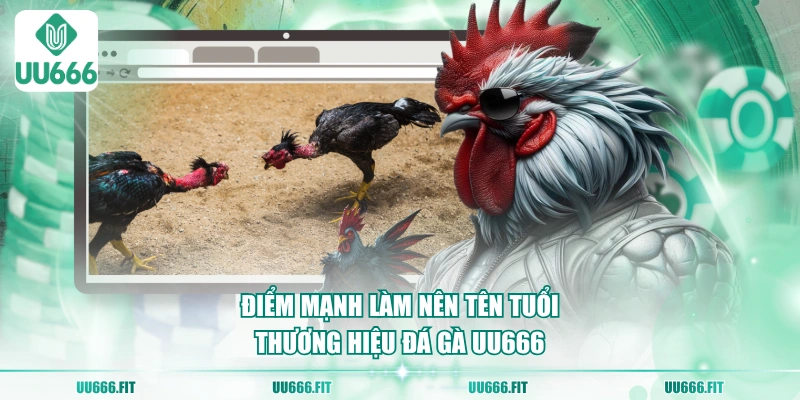 Điểm mạnh làm nên tên tuổi thương hiệu đá gà UU666