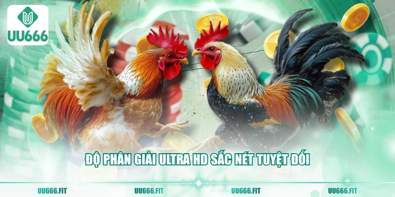 Độ phân giải Ultra HD sắc nét tuyệt đối