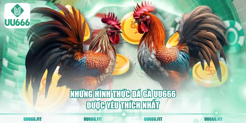 Những hình thức đá gà UU666 được yêu thích nhất